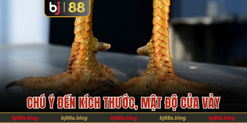 Chú ý đến kích thước, mật độ của vảy