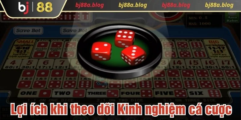 Kinh nghiệm cá cược như một kênh tin cậy để nắm bắt cơ hội mới