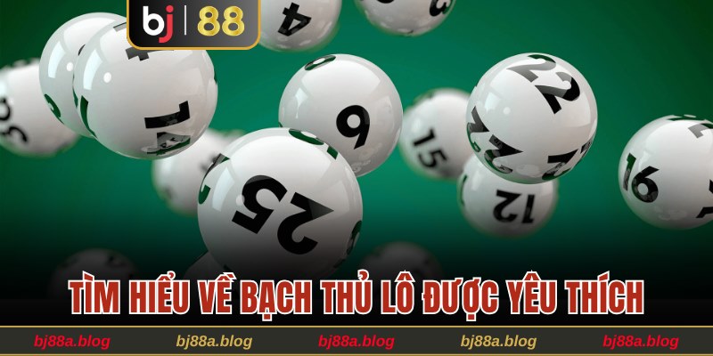 Tìm hiểu về bạch thủ lô được yêu thích trong lô đề