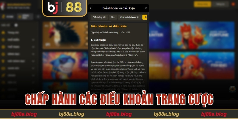 Chấp hành các điều khoản trang cược